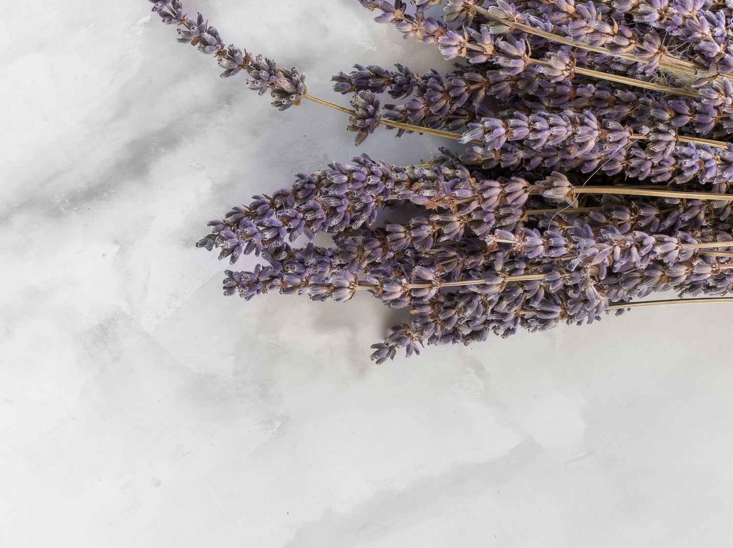 Dried lavender sprigs, showcasing lavender’s calming and soothing benefits in Skincerity